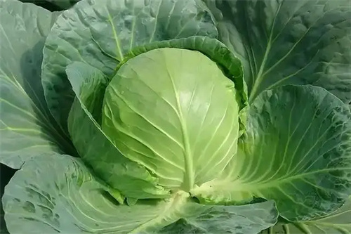 图片细节